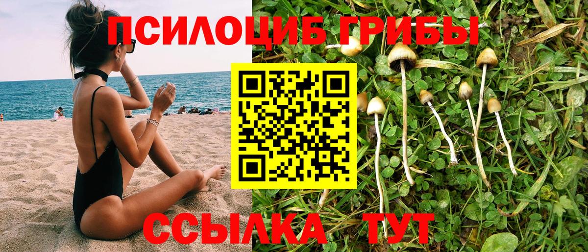 Галлюциногенные грибы GOLDEN TEACHER Сокол
