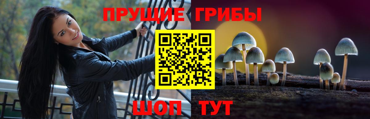 Галлюциногенные грибы MAGIC MUSHROOMS  Галлюциногенные грибы MAGIC MUSHROOMS  Сокол  Вход с VPN 